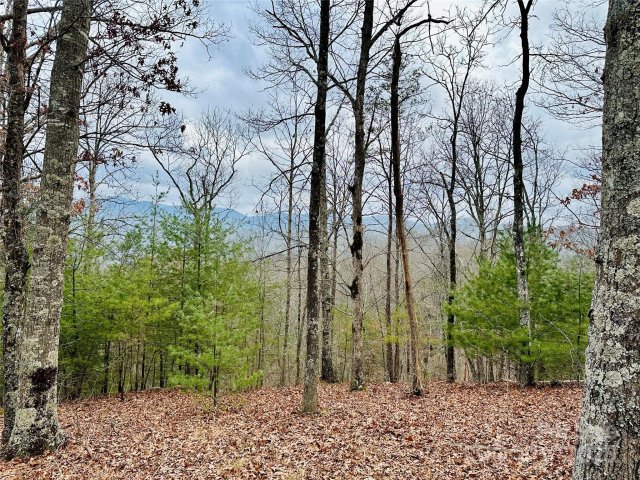 275 Raccoon Run 24 active home in French Broad Crossing, Marshall, NC