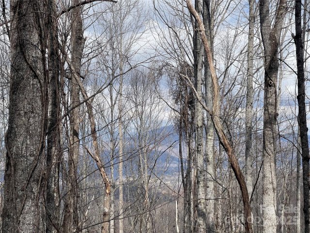 00 Old Country Road sold home in Shadow Woods, Waynesville, NC