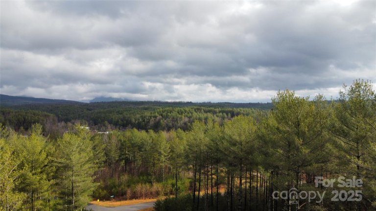26 Peninsula Reserve Road active home in The Peninsula at Lake James, Nebo, NC