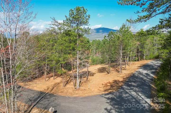 0 S Mountain Drive 13 sold home in Pisgah Preserve, Nebo, NC