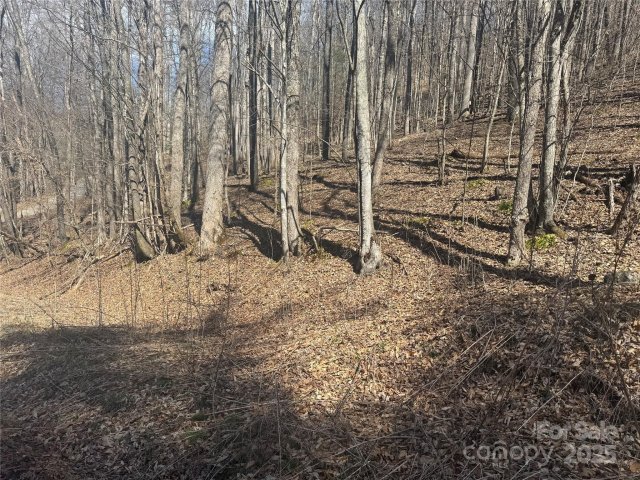 14 Lower Trillium Lane sold home in Trillium Glen, Mars Hill, NC