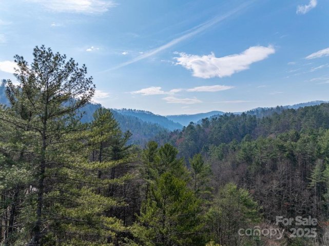 0 Wagon Ridge Road sold home in Leatherwood Mountains, Ferguson, NC