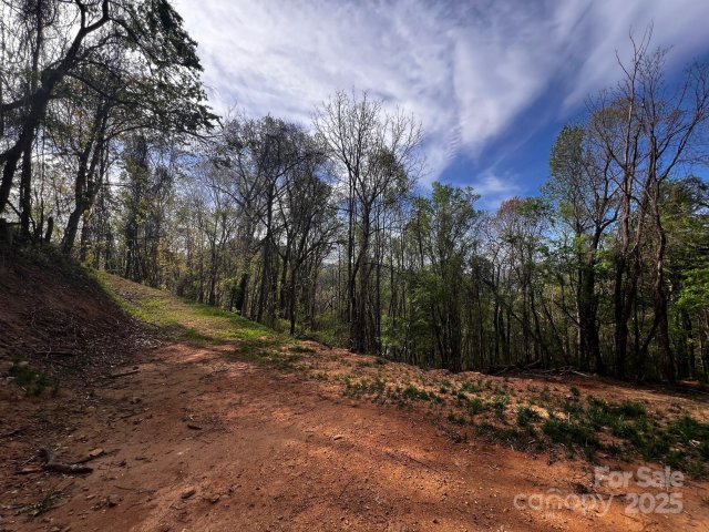 0 Little Creek Drive active home in Springdale Estates, Canton, NC