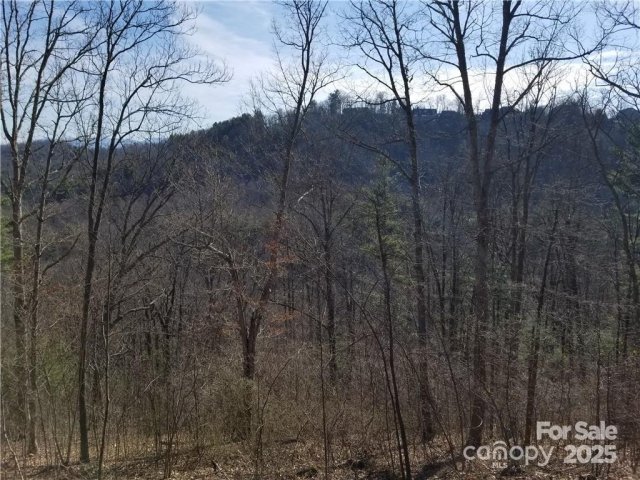 140 Summit Tower Circle active home in Reynolds Mountain, Asheville, NC