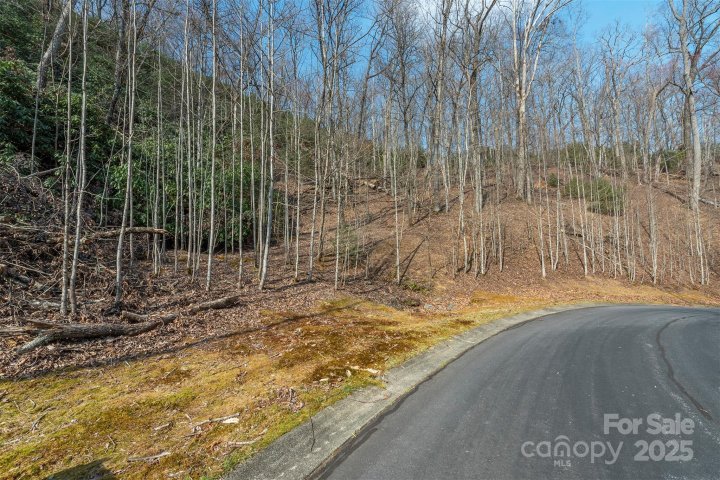 0 Shining Rock Path active home in Homestead At Mills River, Horse Shoe, NC