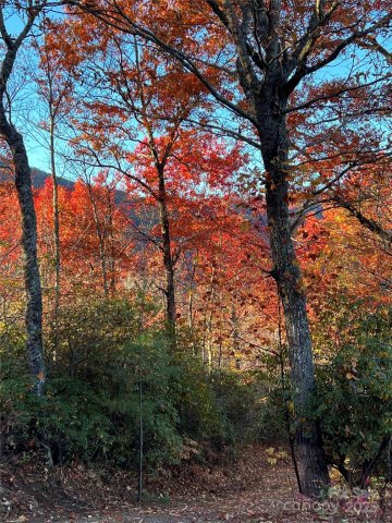 Homes in Hemlock Falls, Sylva