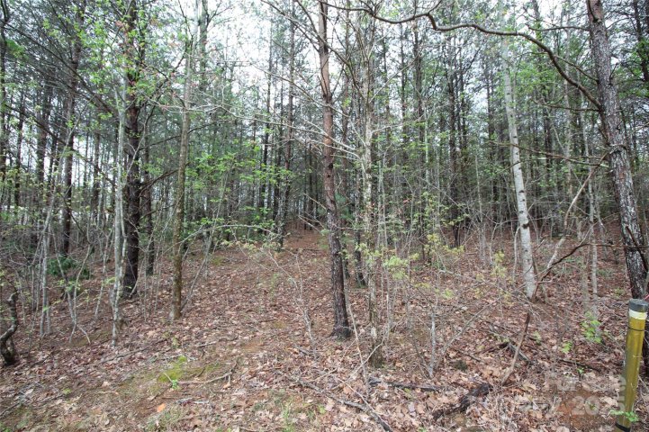 Lot 4 Ridge Way sold home in Ridge Walk, Marion, NC