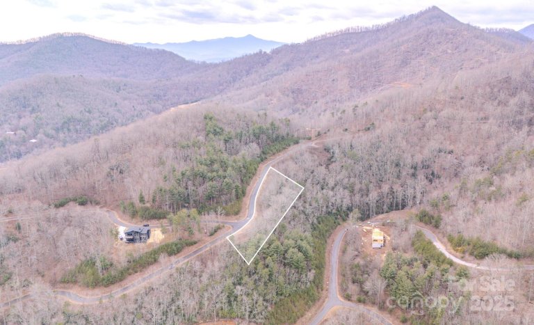 45 Mountain Holly Drive sold home in Moores Valley, Leicester, NC