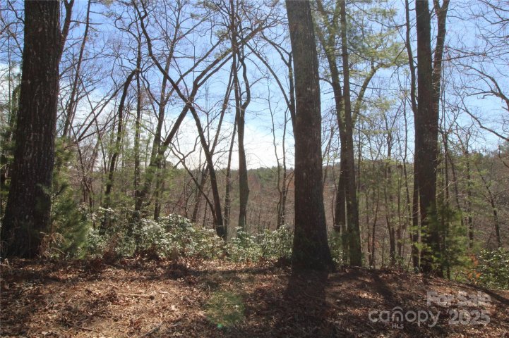 Homes in Heartwood Forest, Collettsville