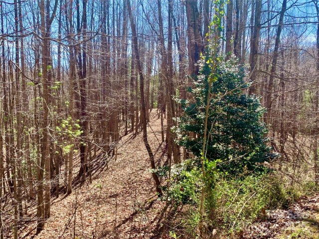 2 78 Acres Lot 84 Round Rock Road active home in The Coves Mountain River Club, Lenoir, NC
