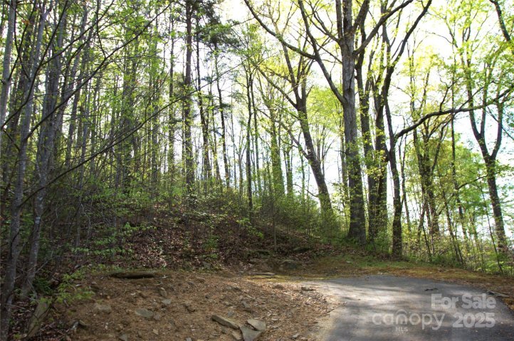 58 Ashewood Mountain Way sold home in Ashewood, Candler, NC
