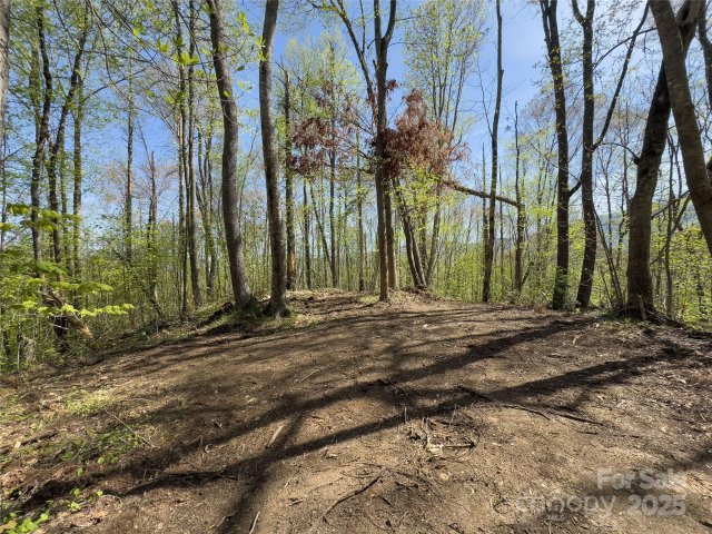 Homes in Black Rock Creek, Qualla
