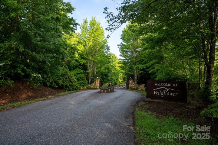 Homes in Wildflower, Franklin