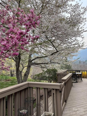 8 Stony Ridge sold home in Beaverdam Run, Asheville, NC