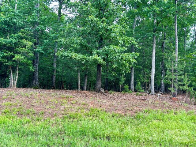 170 Water Oak Way sold home in Swift Island Plantation, Mount Gilead, NC
