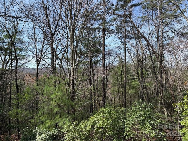 Tbd Casey Mountain Road active home in Buck Mountain, Purlear, NC