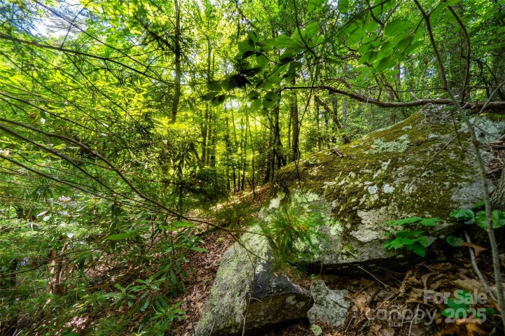 Homes in Blue Ridge Estates, Hendersonville