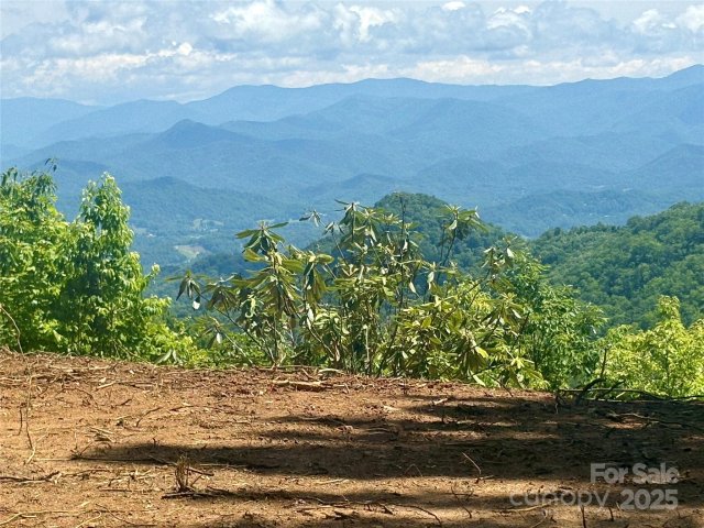 0 Middle Ridge 42 sold home in Coppermine Ridge, Whittier, NC