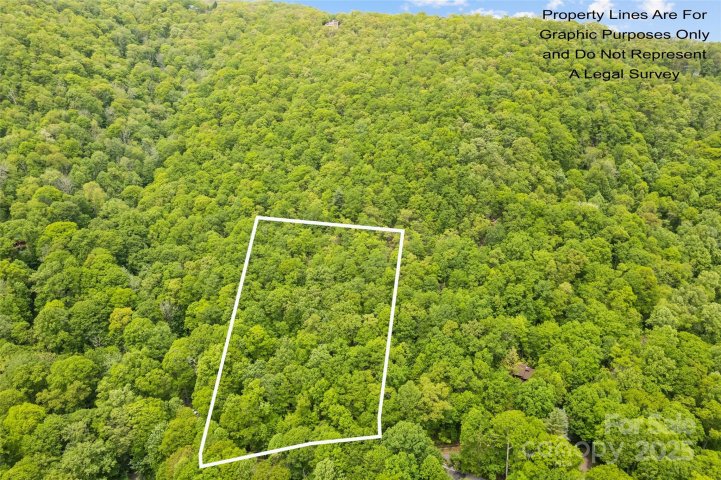 Homes in Eagles Nest Mountain, Waynesville