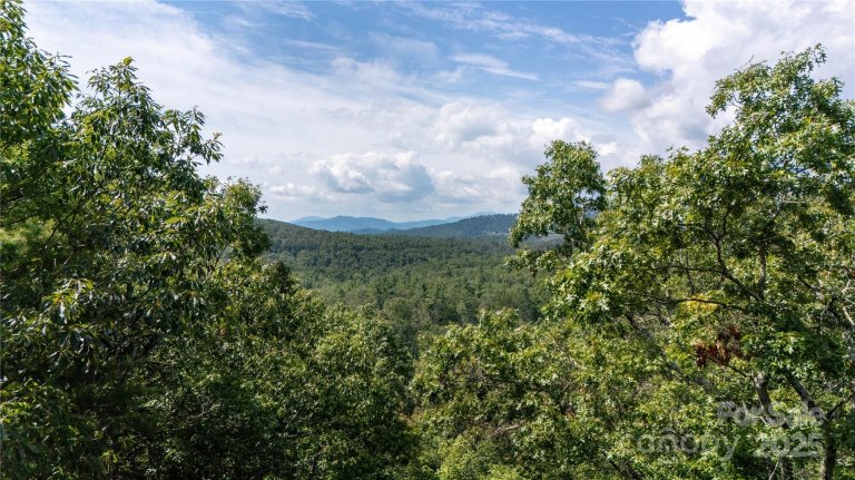 Homes in Highland Falls, Spruce Pine
