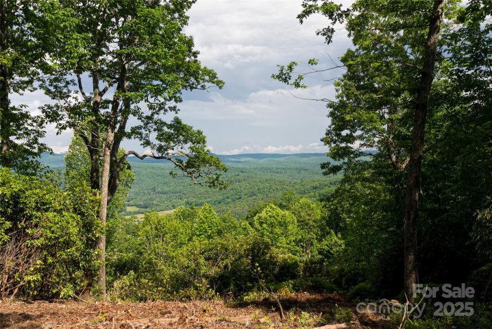 Homes in The Reserve, Pisgah Forest