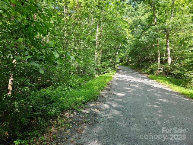 0 Sandpiper Avenue 163 active home in Riverbend, Lake Lure, NC