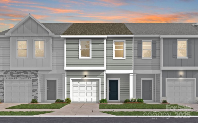 Homes in Townes At Ribbon Walk, Charlotte