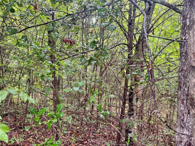 3680 Grandview Drive 22 sold home in Grandview Heights, Morganton, NC