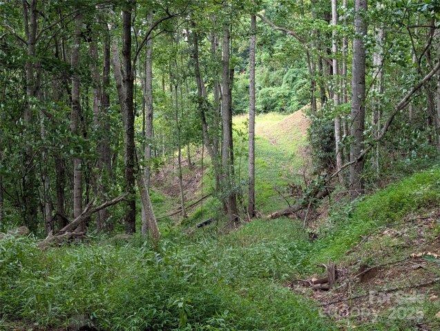 Homes in Mountain Park, Mars Hill