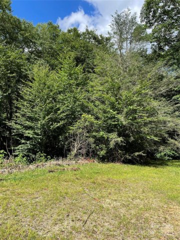 Homes in William Sutton Properties, Maggie Valley