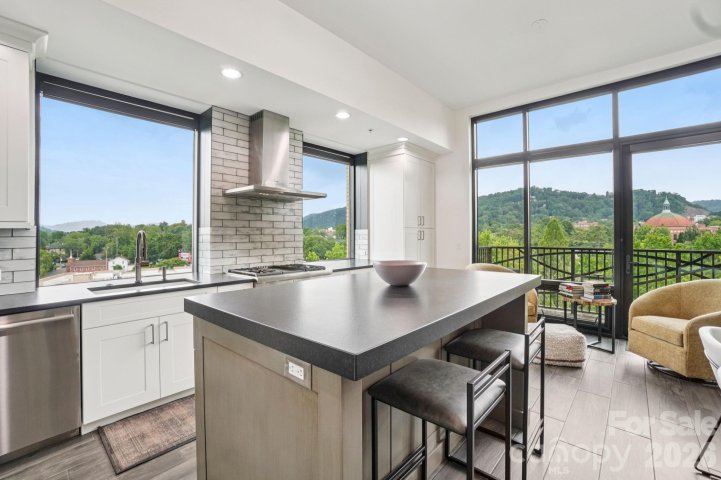 60 N Market Street sold home in 60 North Market, Asheville, NC