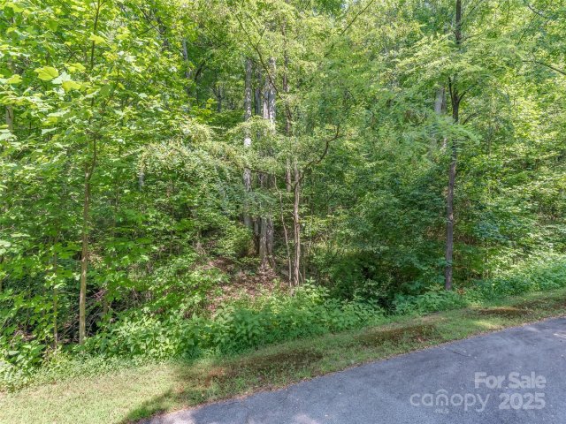 Lot 231 Chesterfield Drive active home in Brights Creek, Mill Spring, NC