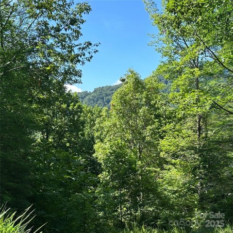 33 Nuthatch Lane T-84 active home in Creston, Black Mountain, NC