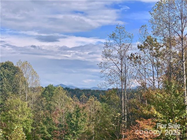 1 96 Acres Lot 44 Round Mountain Parkway active home in The Coves Mountain River Club, Lenoir, NC