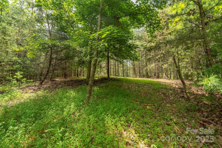 Lot 46 Black Forest Drive active home in Black Forest, Marion, NC