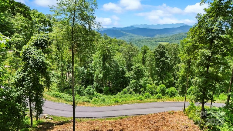 Homes in Summit View, Spruce Pine