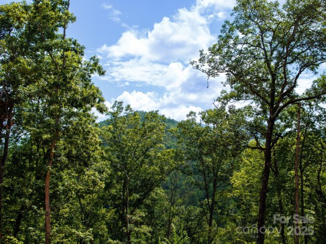 Homes in Tiny Mountain Estates, Franklin