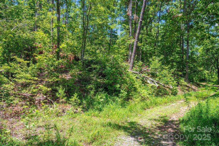 Lot 221 Plantation Drive active home in Cleghorn Plantation, Rutherfordton, NC