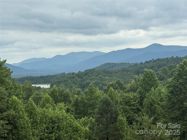 166 Coal Pit Mountain Drive 359 active home in Grandview Peaks, Nebo, NC
