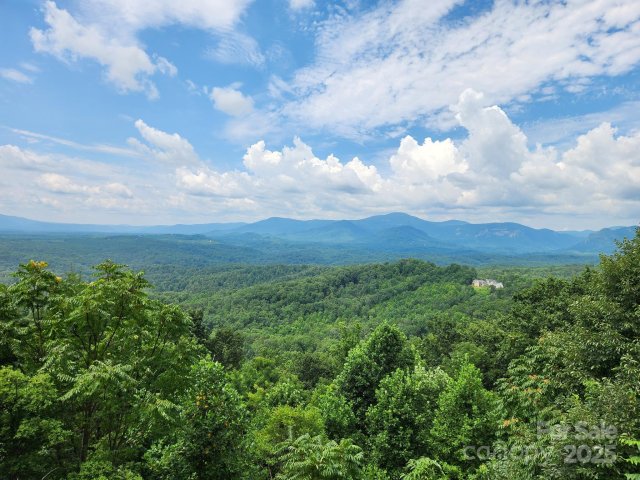 00 Golden Ridge Drive 201 active home in Vista At Bills Mountain, Lake Lure, NC