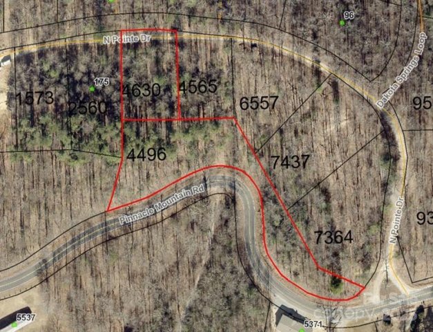 99999 N Pointe Drive 5 and #30 active home in Ann Mountain Estates, Zirconia, NC