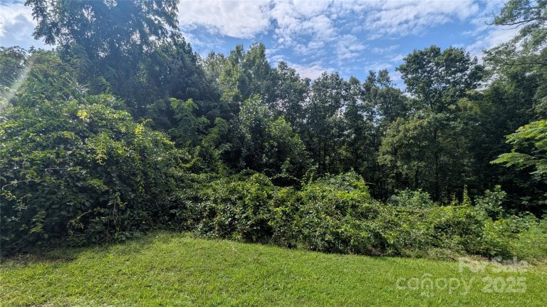 Homes in Pine Wood Heights, Waynesville