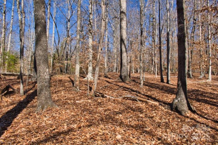0 Cinnamon Ridge 404 active home in Clearwater Creek, Rutherfordton, NC