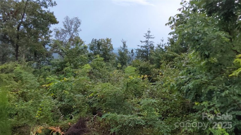 0 Brighton Drive active home in Yellowtop Mountain Estates, Bostic, NC