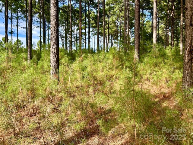 224 Plantation Way sold home in Swift Island Plantation, Mount Gilead, NC