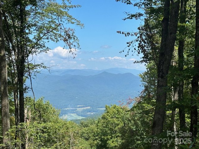Homes in The Falls, Bryson City