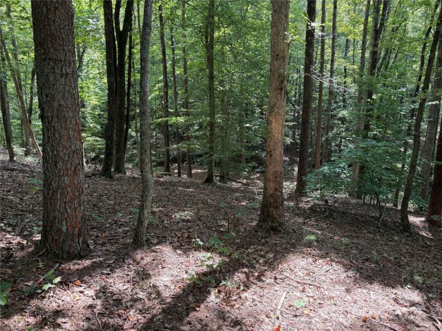 0 Mountain Brook Trail 298 active home in Grandview Peaks, Nebo, NC