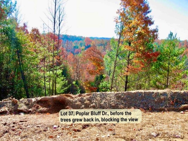 3 31 Acres Lot 37 Poplar Bluff Drive active home in The Coves Mountain River Club, Lenoir, NC