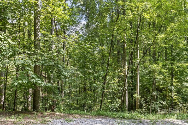 Homes in Summer Walk, Waynesville