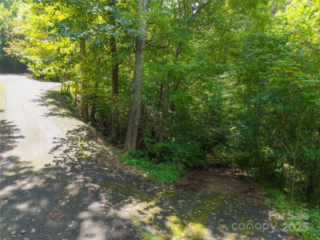 Lot 60 Chesten Mountain Drive sold home in Chestnut Mountain, Asheville, NC